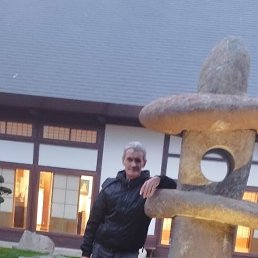 , 53, 