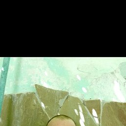 , 37, 