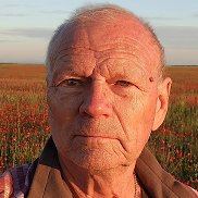 , 71 , 