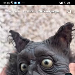 , 20, 