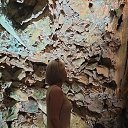  ~•Natali•~, , 43  -  1  2025    