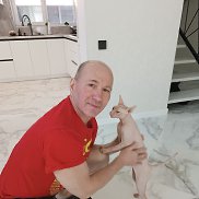 , 51 , 