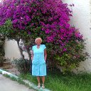 ���� ������, ������, 57 ��� - ��������� 13 ������� 2024 � ������ ���� ����������