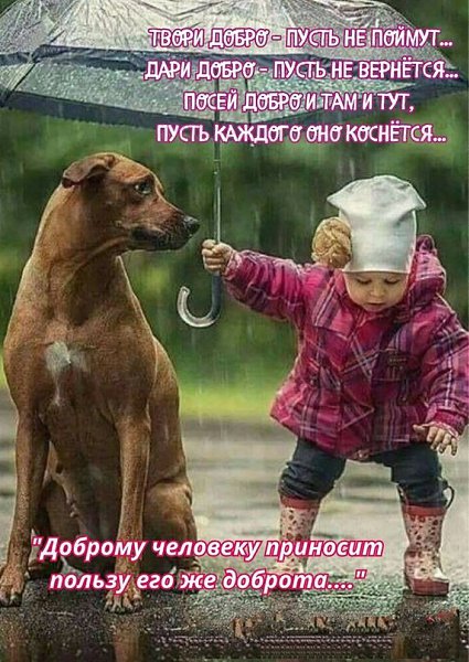 ������ - 12 ������ 2024 � 18:19