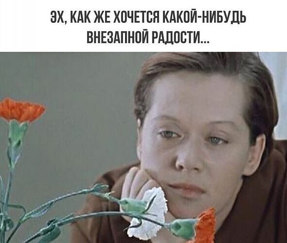   ! - 21  2024  11:40