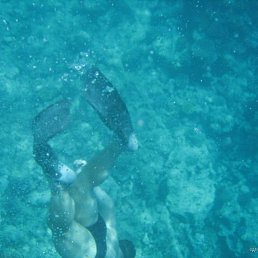 Talamaska, ��������������, 59 ���