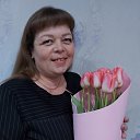 ���� �������, ������, 45 ��� - ��������� 2 ������ 2026 � ������ ���� ����������