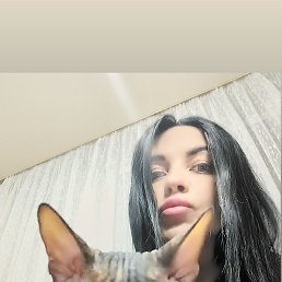 , 42, 
