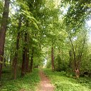 ���� O!, ������, 67 ��� - ��������� 13 ������ 2026 � ������ ����������