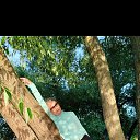 ���� �����, �����-���������, 57 ��� - ��������� 27 �������� 2024 � ������ ���� ����������