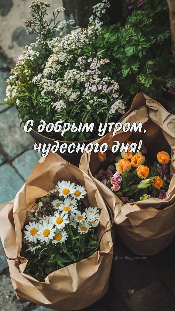  ! - 15  2025  06:12