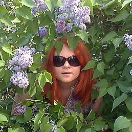 �����, ������, 37 ���