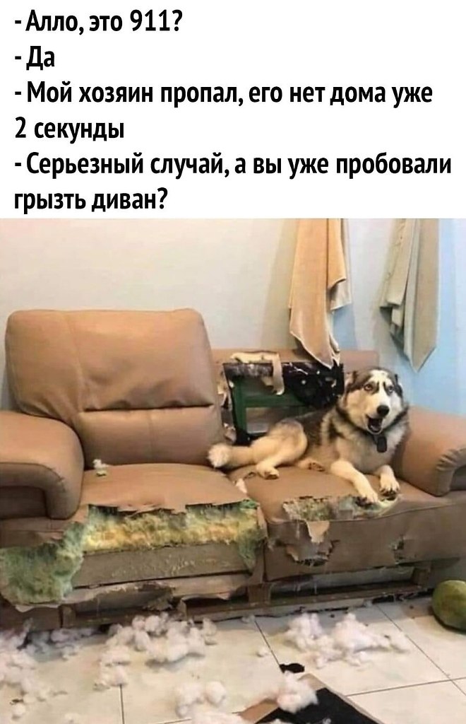    - 31  2024  00:20