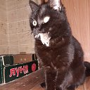 ���� Deema, ��������� - ��������� 7 ������� 2025 � ������ ������ ��������