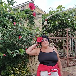 Nadin, �������, 61 ���