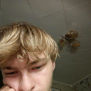 , 18 , 