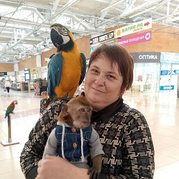 , 41, 