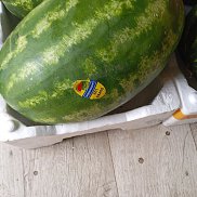 ����� �����, 50 ���, �����