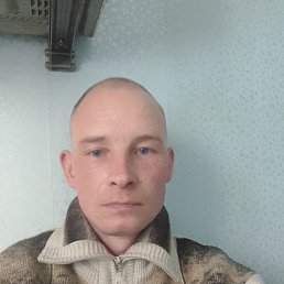 , 33,  