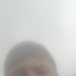 , 33 , 