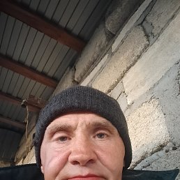 , 44, 