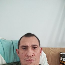 , 44, 