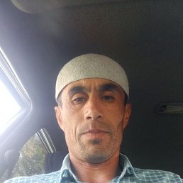 , 38, 