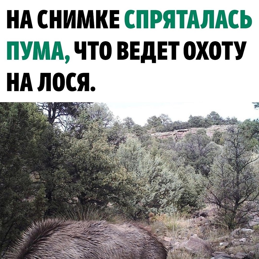 �� ������ �� �����?