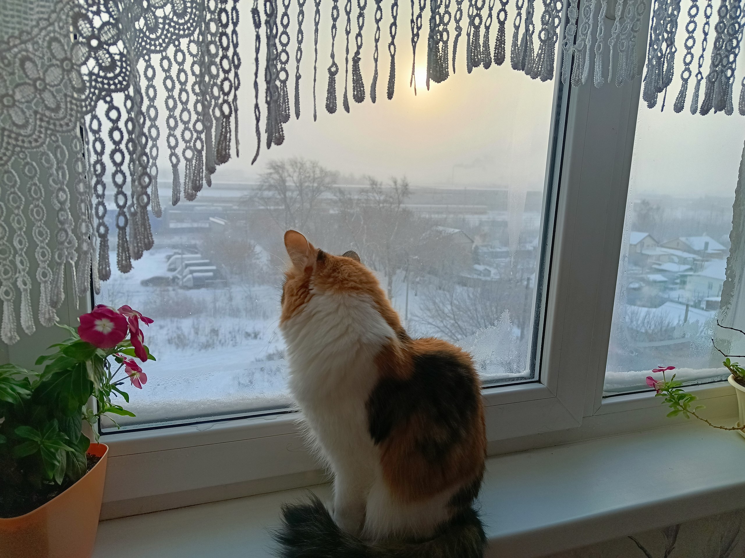  - 11  2023  10:58
