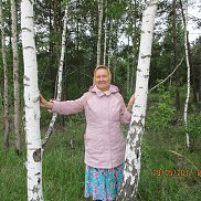 ��������, 66 ���, ���������