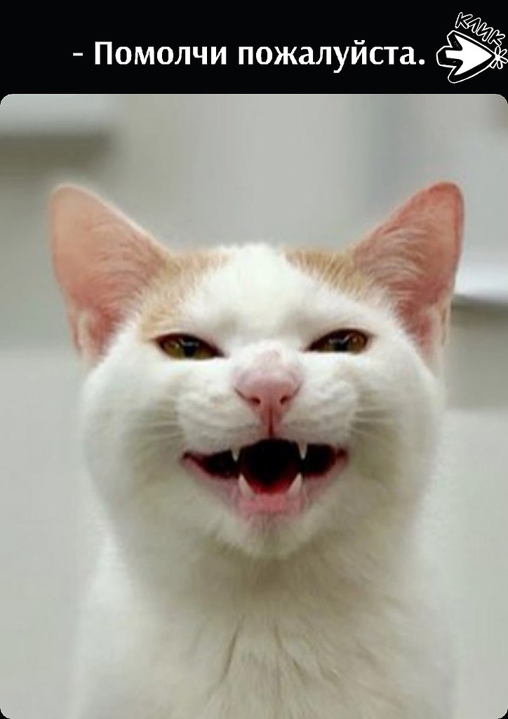 ��� ���� � ����� �� �� - 15 ����� 2026 � 11:30
