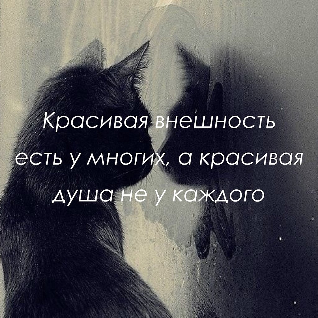   - 27  2025  00:36