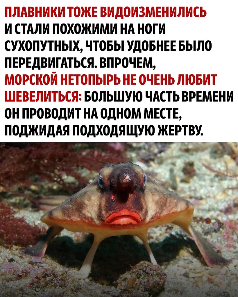     - 3