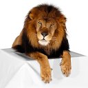 ���� V/a., ���-���� - ��������� 30 ��� 2026 � ������ ���� ����������