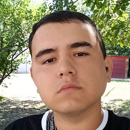, , 29 