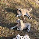 ���� �������, ������, 54 ���� - ��������� 27 ������ 2026 � ������ ������ ��������