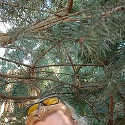 , 47 , -