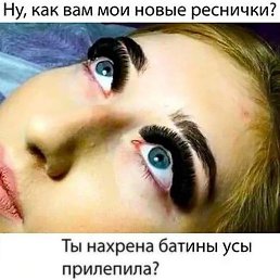 �����, ���, 37 ���