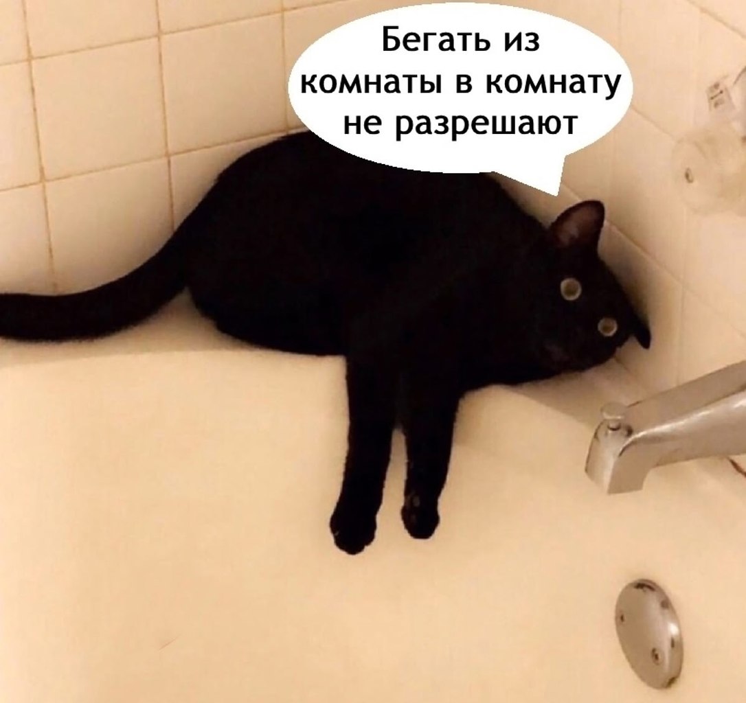 ���� - 18 �������� 2025 � 11:16 - 5