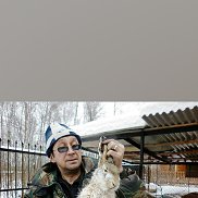 �����, 60 ���, �����������