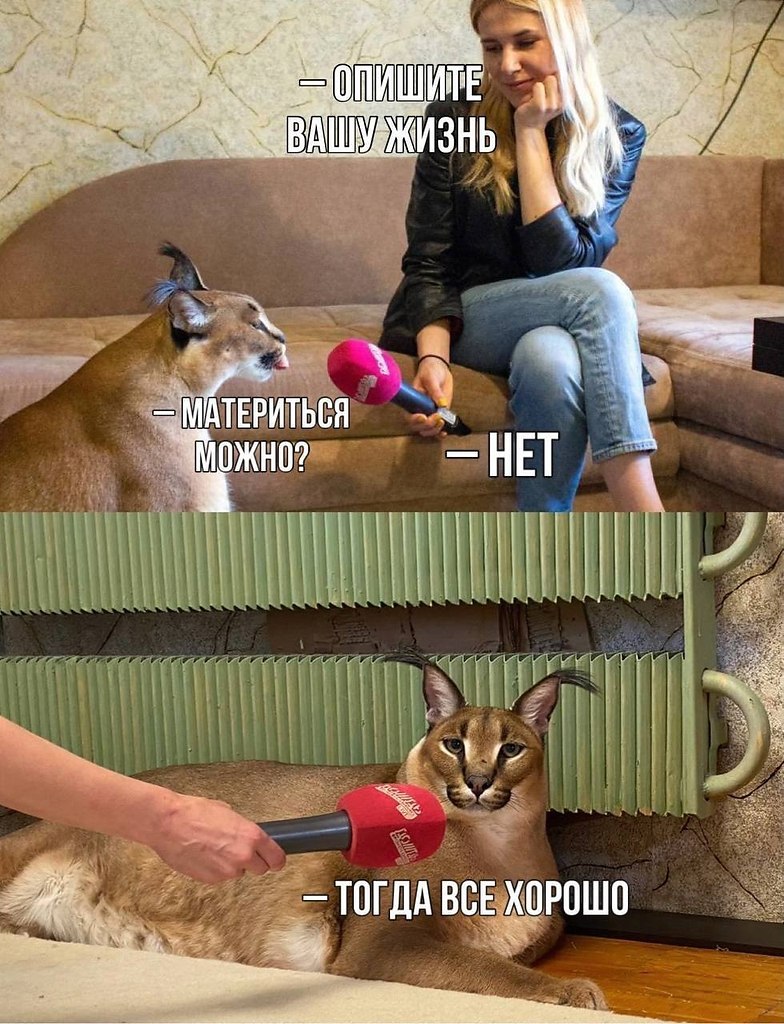    - 10  2024  06:37