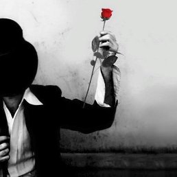 ������, ���������, 41 ���