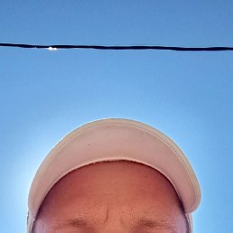 , 33, 