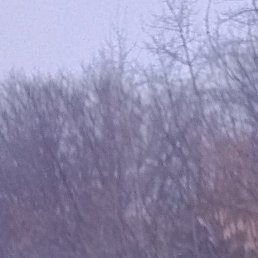 ����, ������, 42 ����