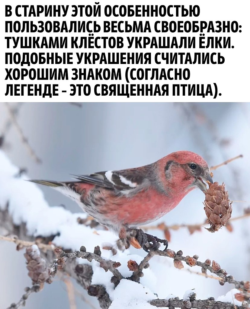       - 3