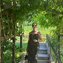 ���� ������, ��������, 66 ��� - ��������� 27 ������� 2025 � ������ ���� ����������