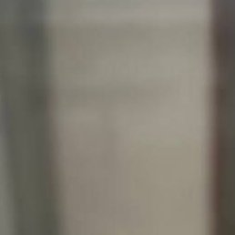 �����, �����, 48 ���