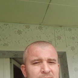 , 44, 