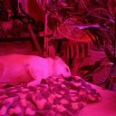  ,   -  23  2024    . -. 