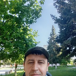 , 41, 